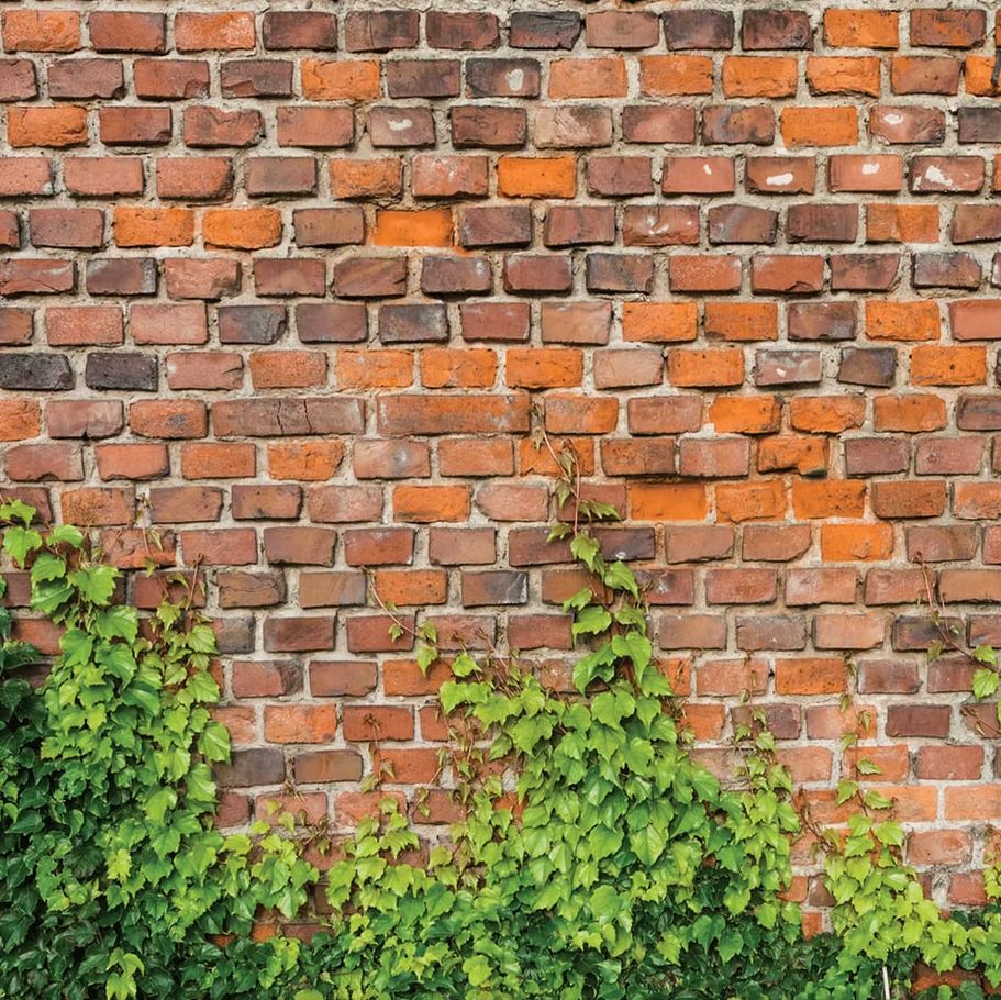 Brick With Greenery