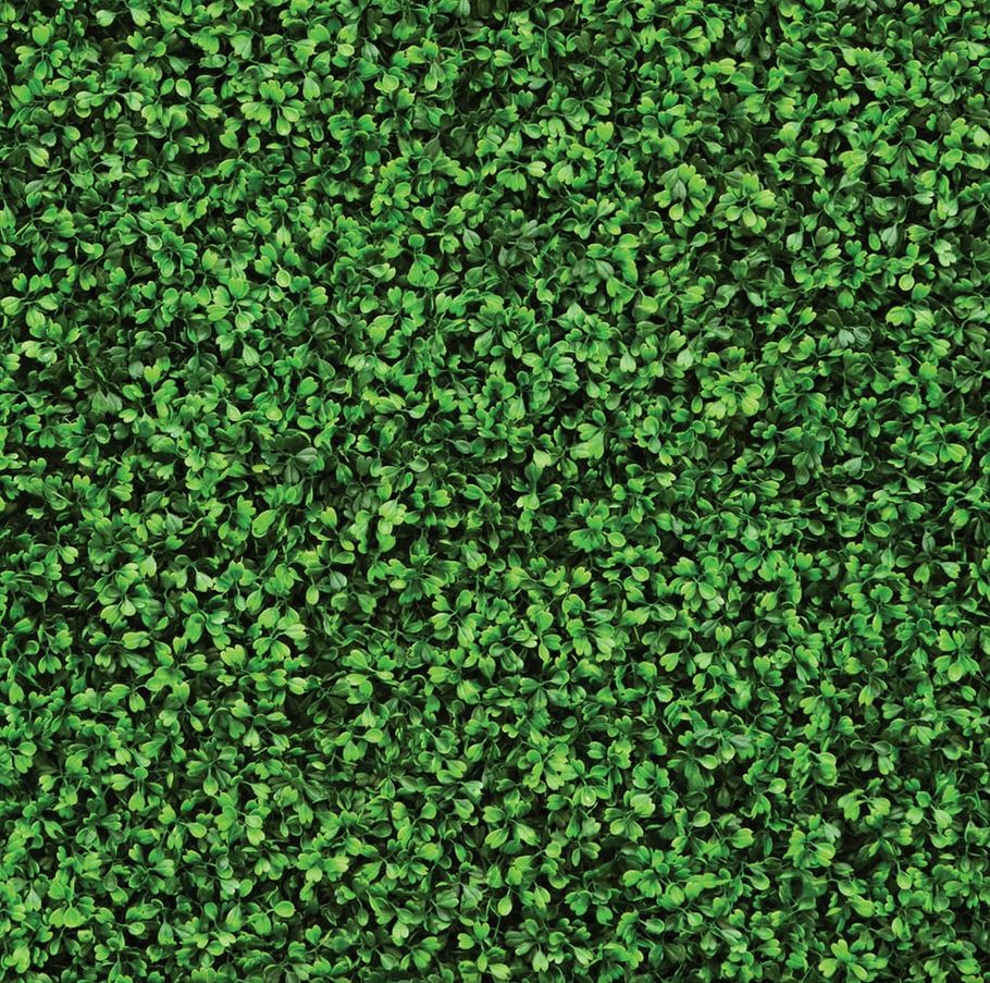 Hedge